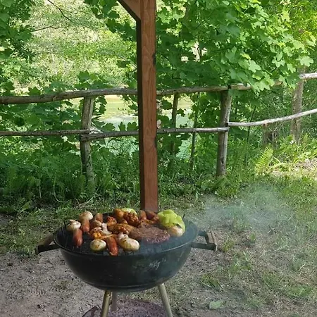 Kamp Na Uni